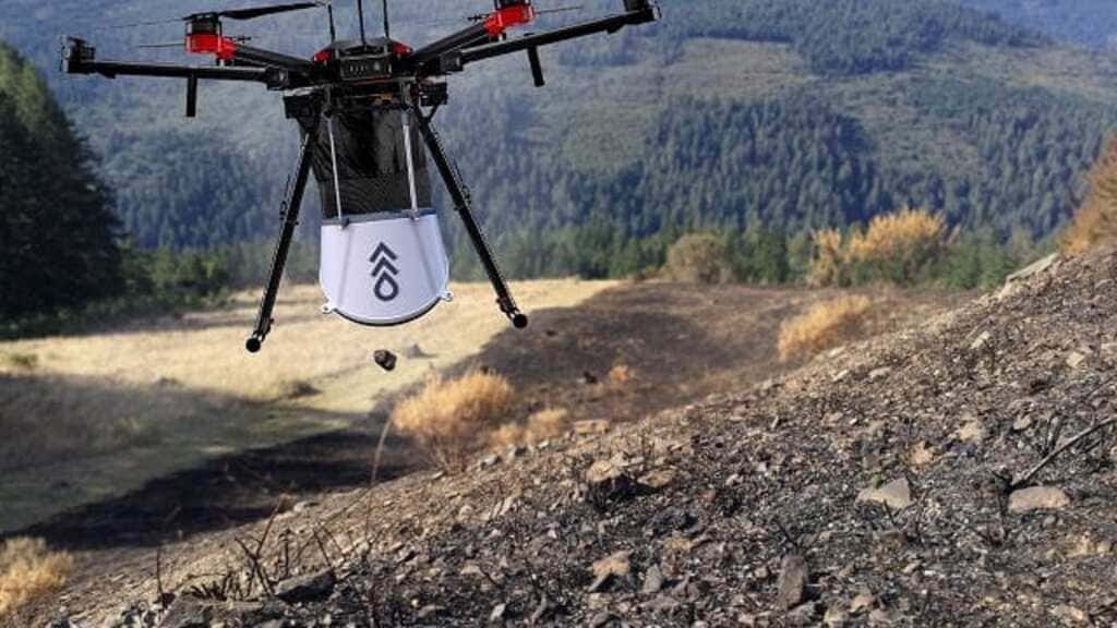 Los drones pueden ayudar a la reforestación