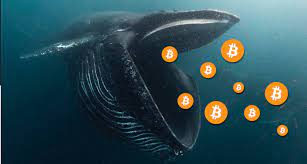 Bitcoin Whales Don’t Want to Let Go